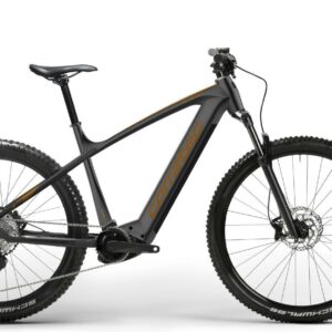 Corratec E-Power X Vert Pro Gent - Bosch - 29/27,5 Zoll