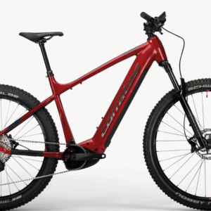 E-MTB